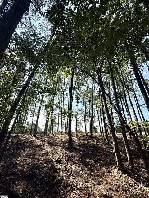 0 Thompson Rd #LOT 2, Greer, SC 29651 photo 16