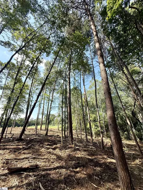 0 Thompson Rd #LOT 2, Greer, SC 29651 photo 18