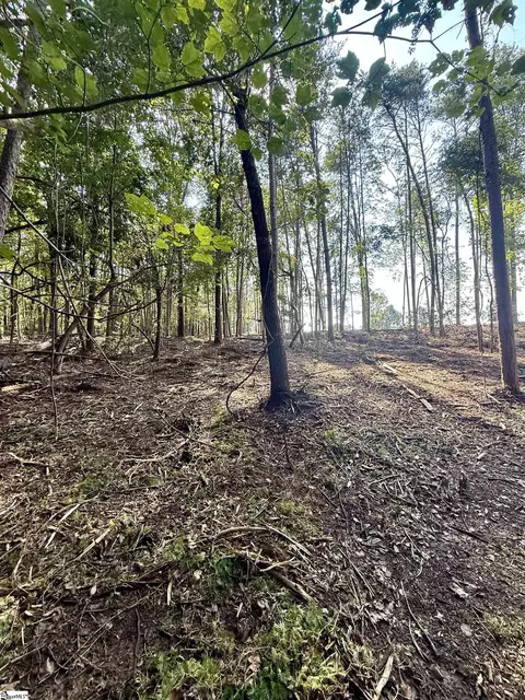 0 Thompson Rd #LOT 2, Greer, SC 29651 photo 8