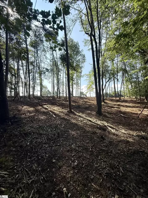 0 Thompson Rd #LOT 2, Greer, SC 29651 photo 9