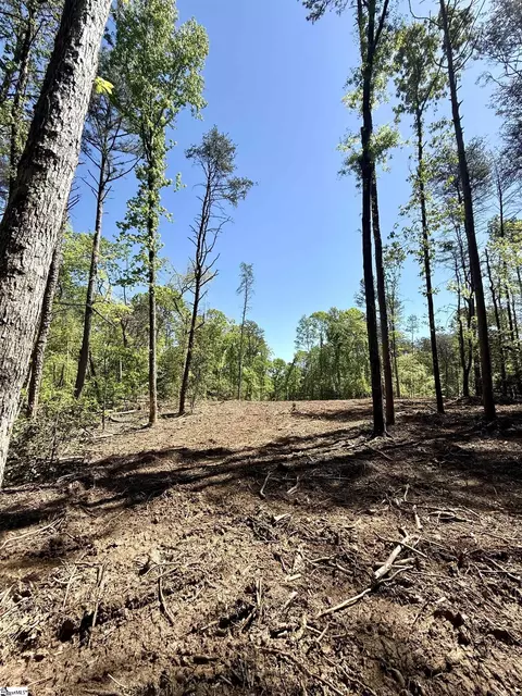 0 Thompson Rd #LOT 2, Greer, SC 29651 photo 24
