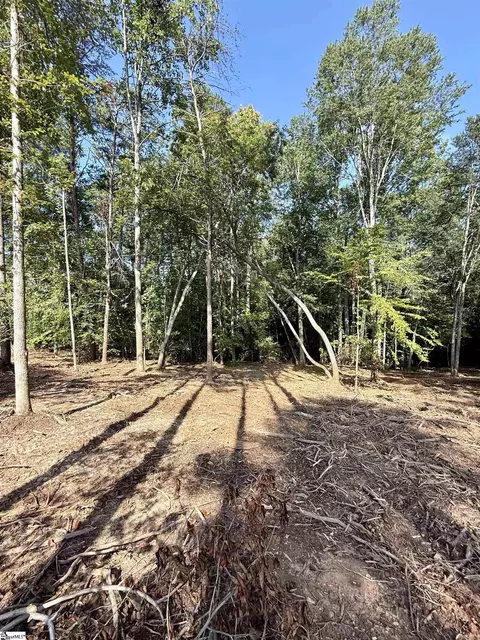 0 Thompson Rd #LOT 2, Greer, SC 29651 photo 6