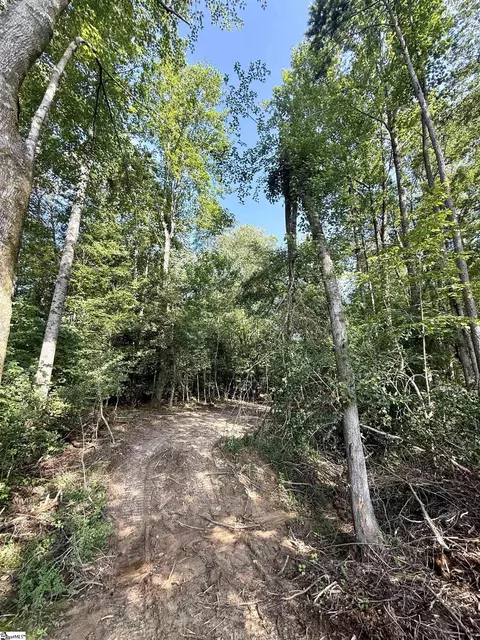 0 Thompson Rd #LOT 2, Greer, SC 29651 photo 21