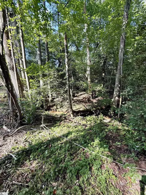 0 Thompson Rd #LOT 2, Greer, SC 29651 photo 7