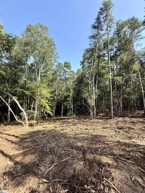 0 Thompson Rd #LOT 2, Greer, SC 29651 photo 4