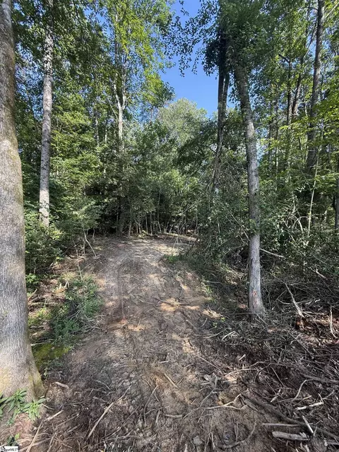 0 Thompson Rd #LOT 2, Greer, SC 29651 photo 20