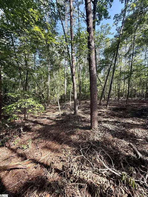 0 Thompson Rd #LOT 2, Greer, SC 29651 photo 11