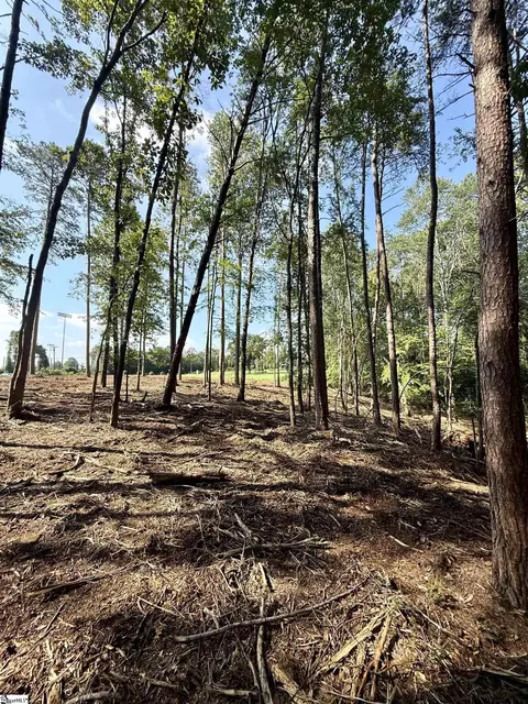 0 Thompson Rd #LOT 2, Greer, SC 29651 photo 19