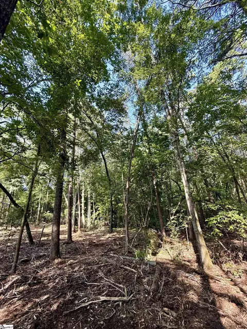 0 Thompson Rd #LOT 2, Greer, SC 29651 photo 17