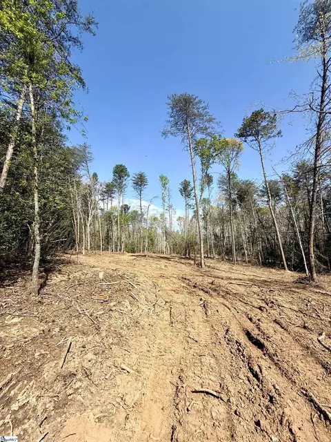 0 Thompson Rd #LOT 2, Greer, SC 29651 photo 33