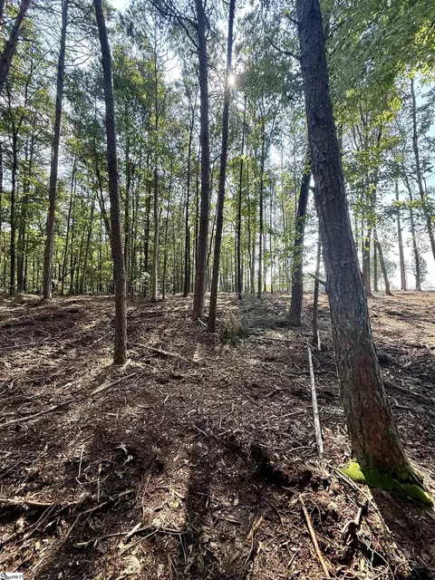 0 Thompson Rd #LOT 2, Greer, SC 29651 photo 13
