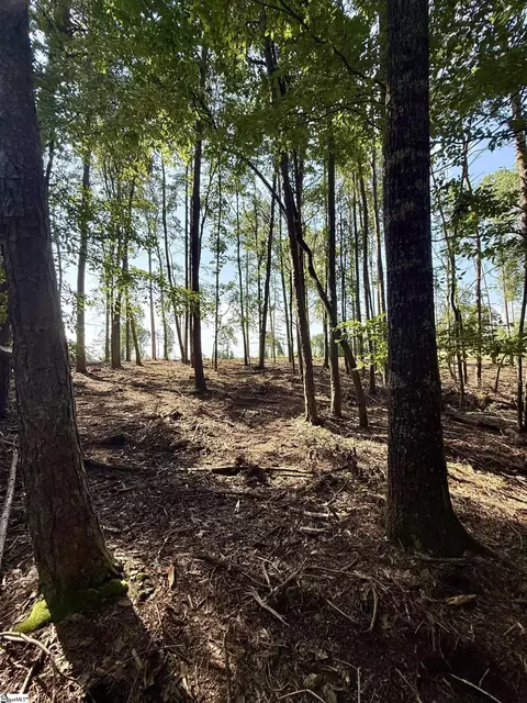 0 Thompson Rd #LOT 2, Greer, SC 29651 photo 14