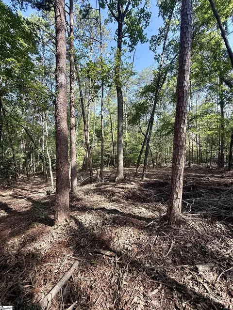 0 Thompson Rd #LOT 2, Greer, SC 29651 photo 12