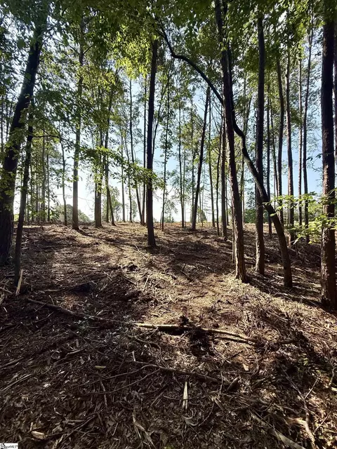 0 Thompson Rd #LOT 2, Greer, SC 29651 photo 15