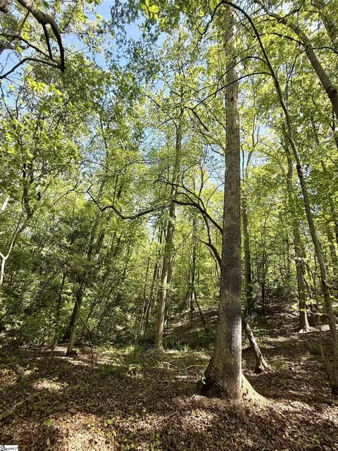 0 Thompson Rd #LOT 2, Greer, SC 29651 photo 25