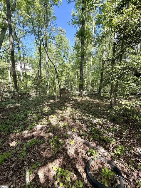 0 Thompson Rd #LOT 2, Greer, SC 29651 photo 28
