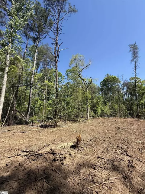 0 Thompson Rd #LOT 2, Greer, SC 29651 photo 22