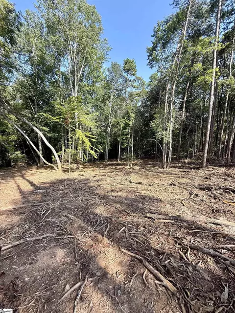 0 Thompson Rd #LOT 2, Greer, SC 29651 photo 5
