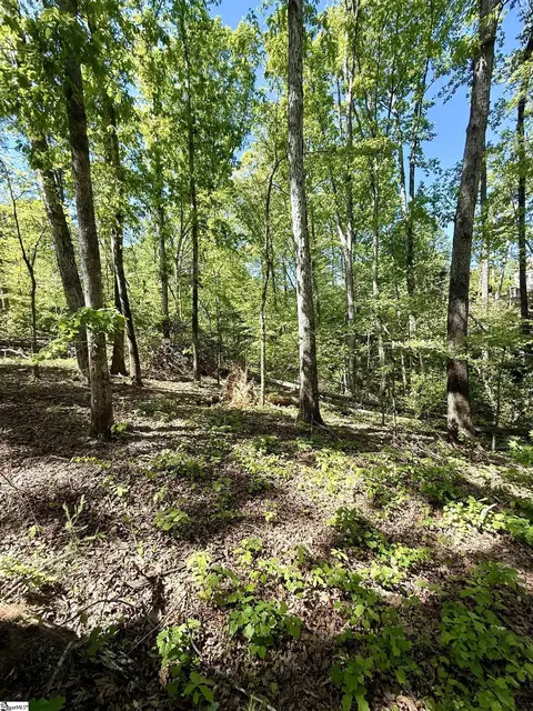 0 Thompson Rd #LOT 2, Greer, SC 29651 photo 26