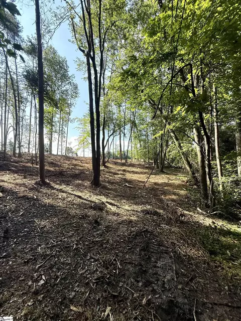 0 Thompson Rd #LOT 2, Greer, SC 29651 photo 10