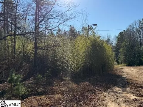 00 Deaton Ln, Gray Court, SC 29645