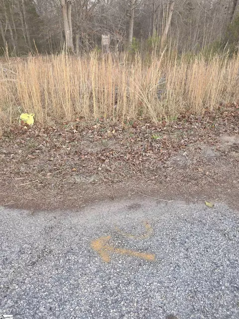 469 Boyce Page Rd, Honea Path, SC 29654 photo 5
