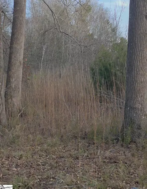 469 Boyce Page Rd, Honea Path, SC 29654 photo 6