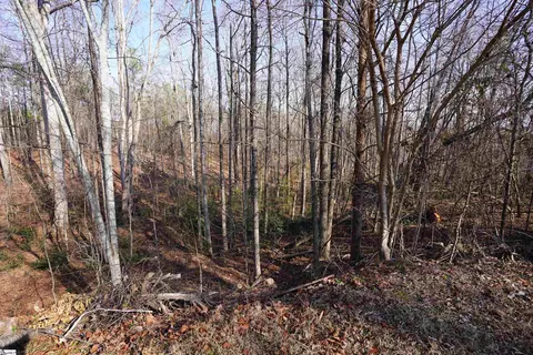 445 Brandy Ln, Pickens, SC 29671 photo 16