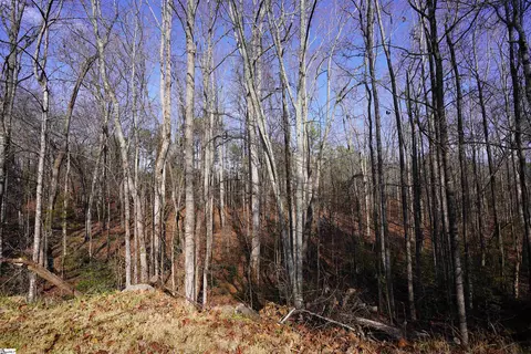 445 Brandy Ln, Pickens, SC 29671 photo 17