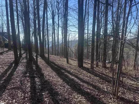 44 Wild Ginger Rd, Landrum, SC 29356