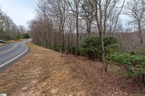 24 Blazing Star Trl, Landrum, SC 29356