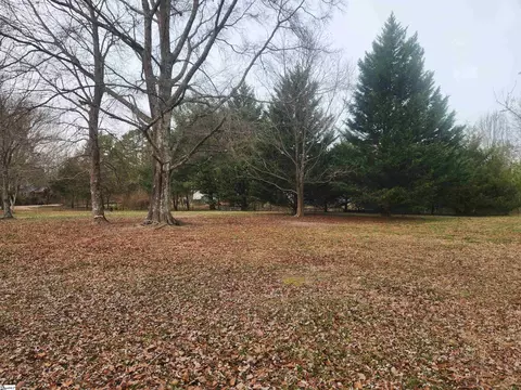 263 Babb Rd, Campobello, SC 29322 photo 5