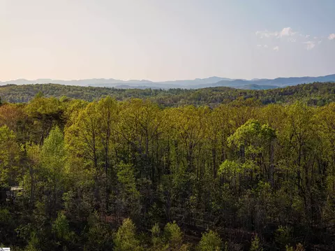 02 Hood Rd #LOT 2, Easley, SC 29640 photo 38