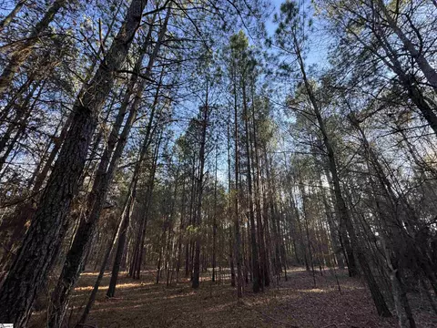 6620 Liberty Hwy, Pendleton, SC 29670 photo 10