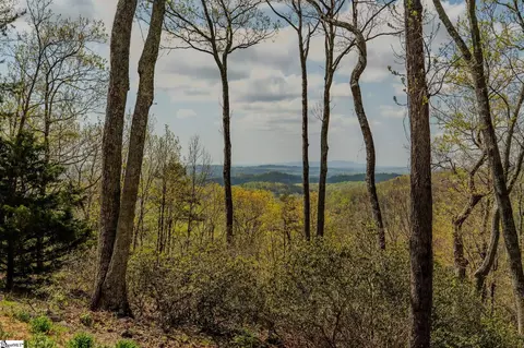 Other - 202 Eagle Rock Rd, Landrum, SC 29356 photo 2 of 14
