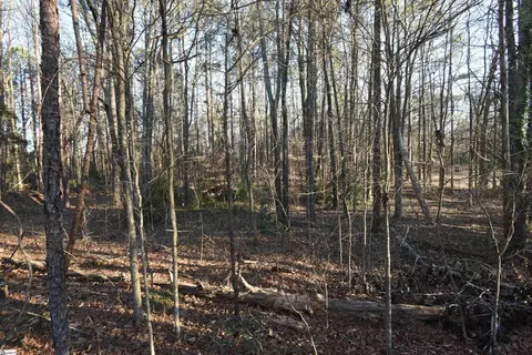 0 Pamela Ln, Laurens, SC 29360