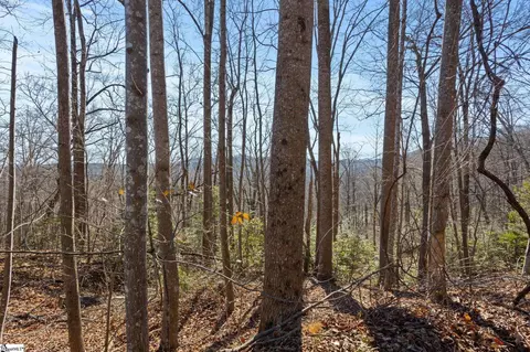 0 Dogwood Dr, Lake Lure, NC 28746
