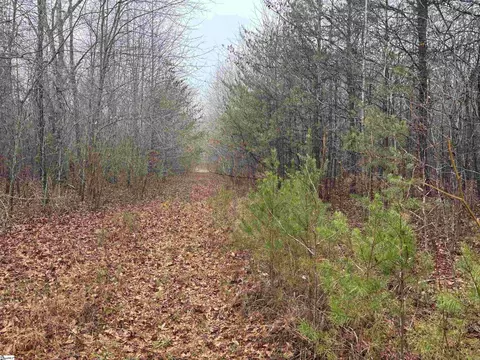 4024 Hwy 414 - Acreage Not House, Landrum, SC 29356