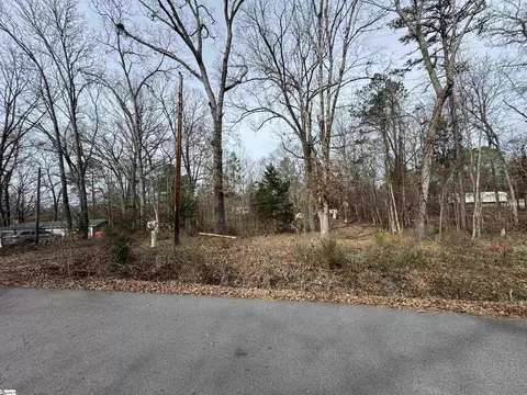 148 Douglas Rd, Waterloo, SC 29384 photo 3