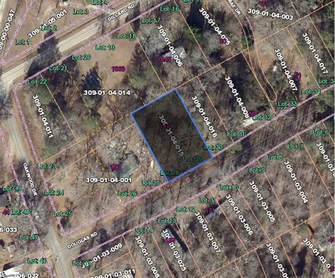 148 Douglas Rd, Waterloo, SC 29384 photo 2