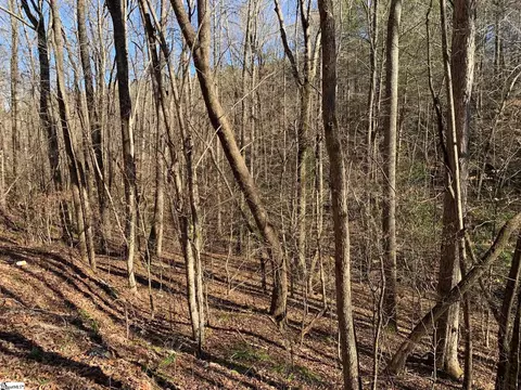 157 Saw Mill Rd, Marietta, SC 29661