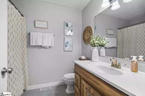 1000 Hopkins Ave, Pendleton, SC 29670 photo 19