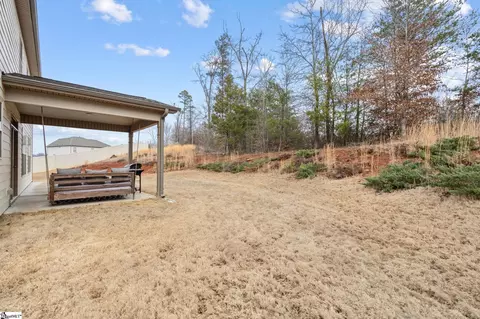 809 Jadeite Way, Duncan, SC 29334 photo 36