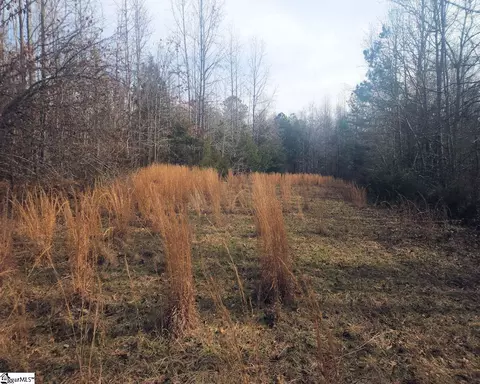 Undisclosed, Waterloo, SC 29384 photo 10