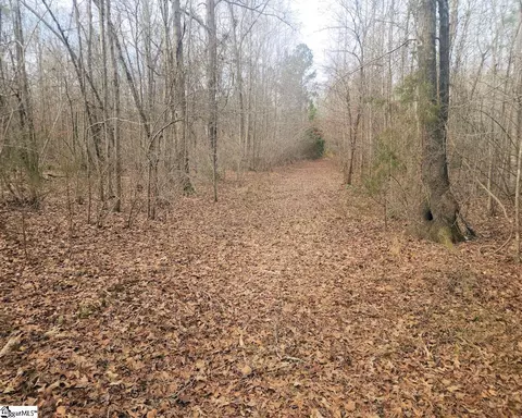 Undisclosed, Waterloo, SC 29384 photo 19