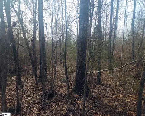 Undisclosed, Waterloo, SC 29384 photo 5