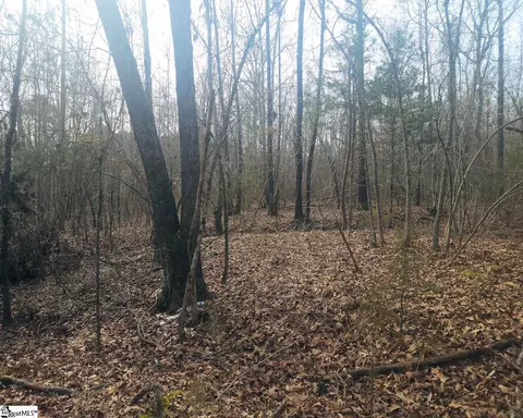Undisclosed, Waterloo, SC 29384 photo 8