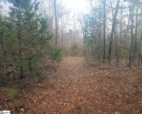 Undisclosed, Waterloo, SC 29384 photo 9