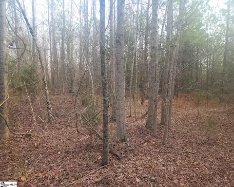 Undisclosed, Waterloo, SC 29384 photo 4