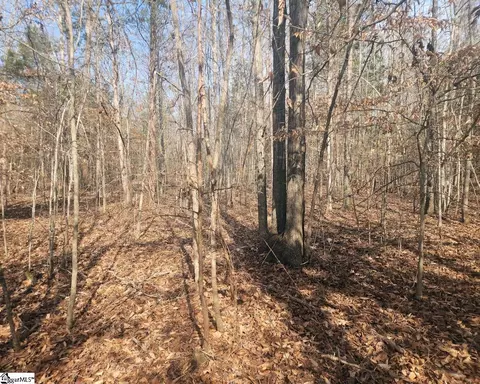 Undisclosed, Waterloo, SC 29384 photo 13